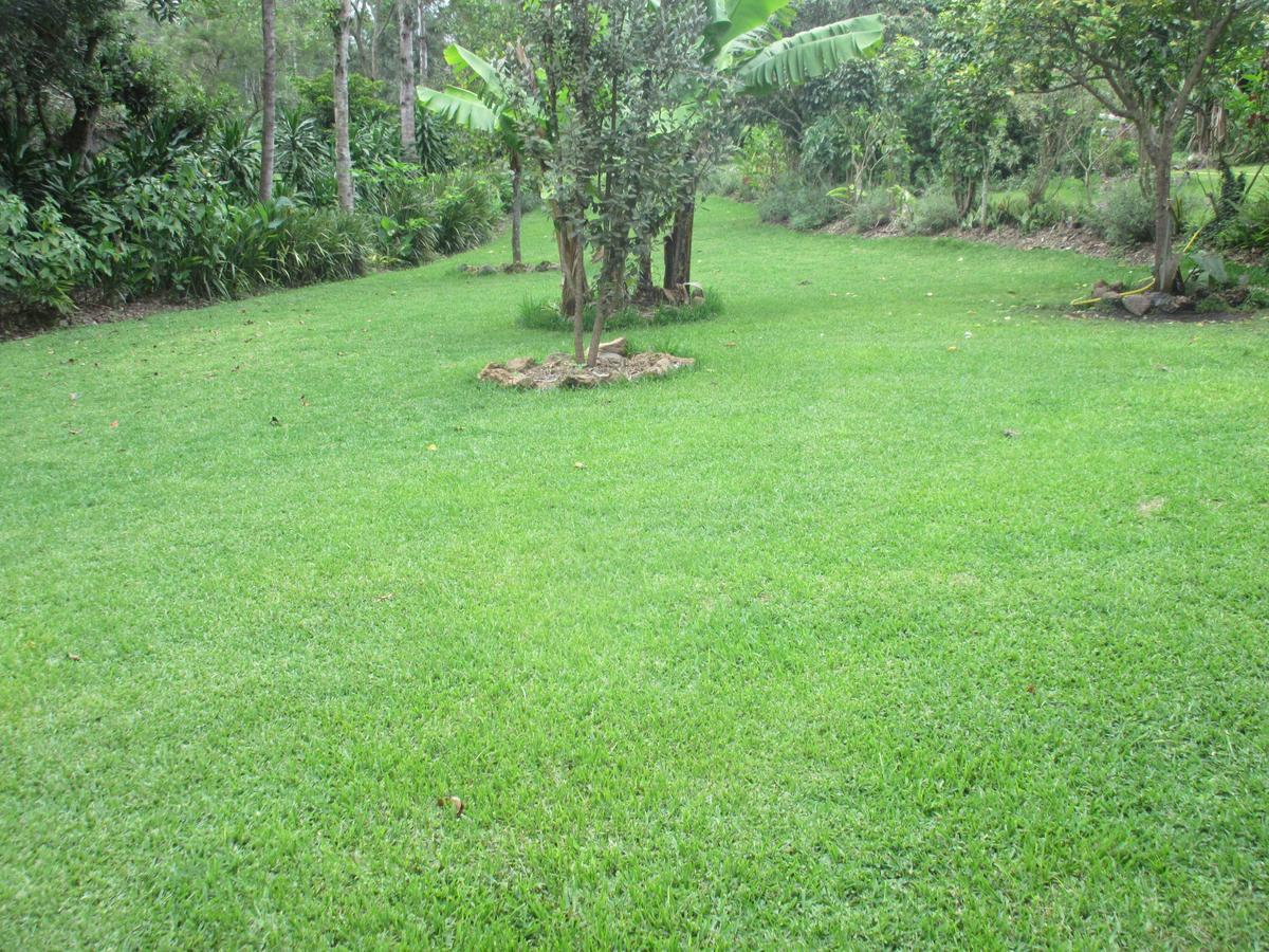 Usa River Kilimanjaro Eco Lodge מראה חיצוני תמונה