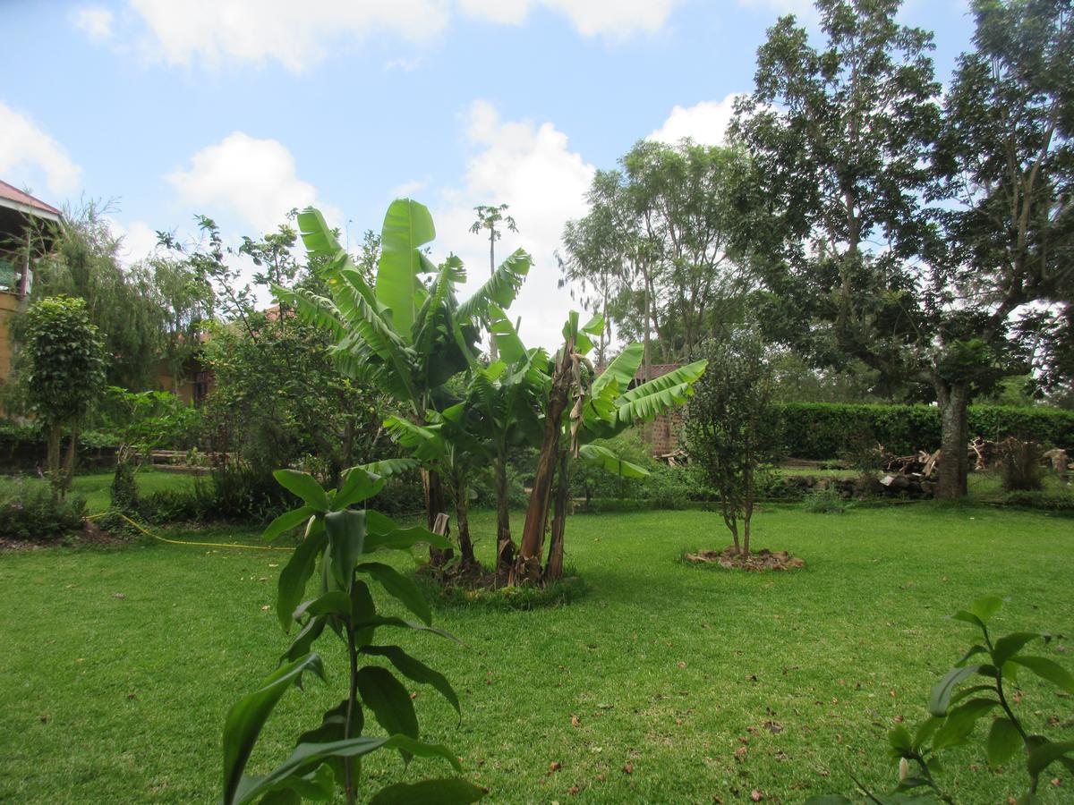Usa River Kilimanjaro Eco Lodge מראה חיצוני תמונה